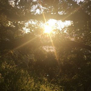 Meet your Posher, Gianna